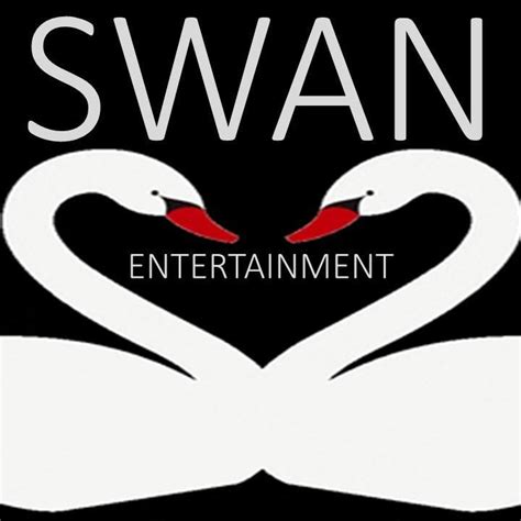 Swan Entertainment - Disco & Photo Booth